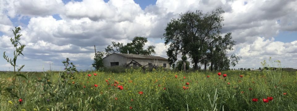 Un père riche, voulant que son fils sache ce que signifie être pauvre